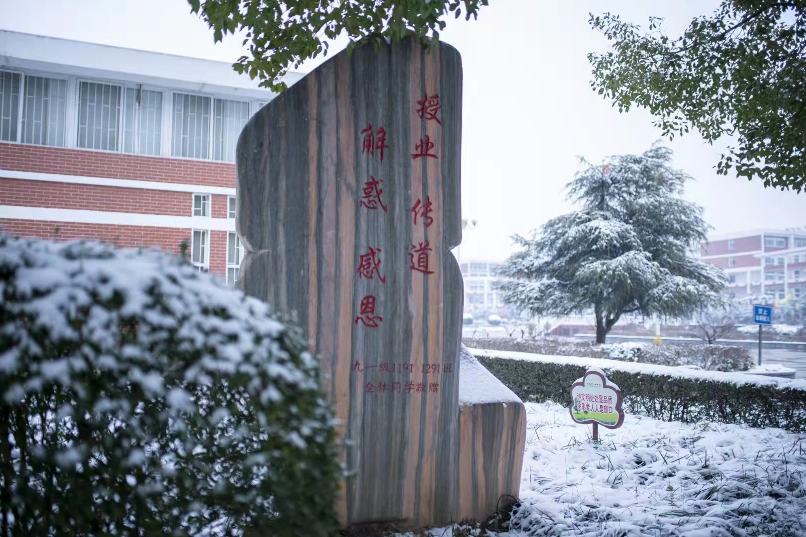 校园雪景- 图片新闻 - 河南省教育厅